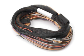 Haltech IO 12 Expander Box 8ft Flying Lead Harness (A/B Box) - Corvette Realm