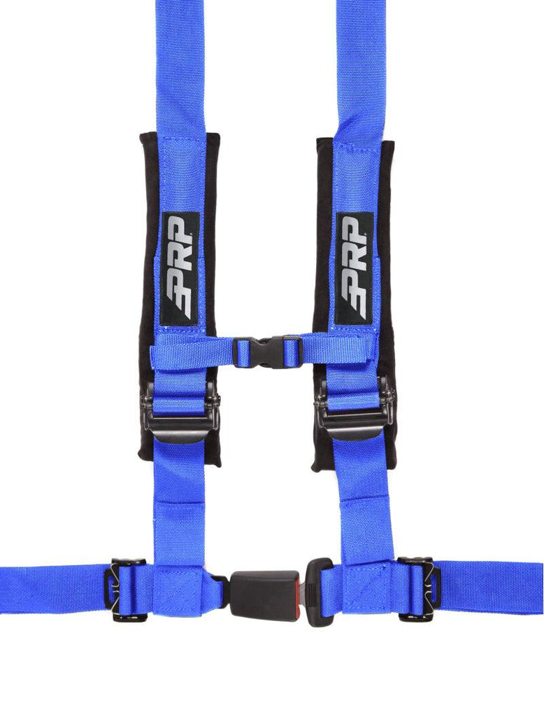 PRP 4.2 Harness- Blue - Corvette Realm