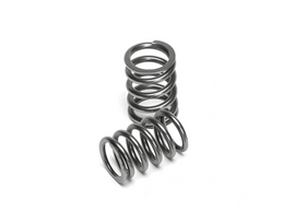 Supertech Honda D16Z6/D16Y6/D16Y7/D16Y8/D15B/D17A Single Valve Spring - 16 - Corvette Realm